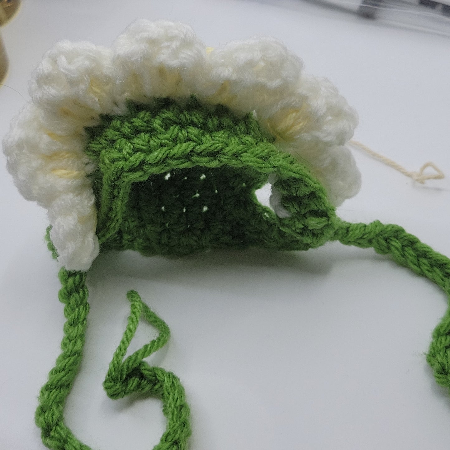 Moes knits cat hats