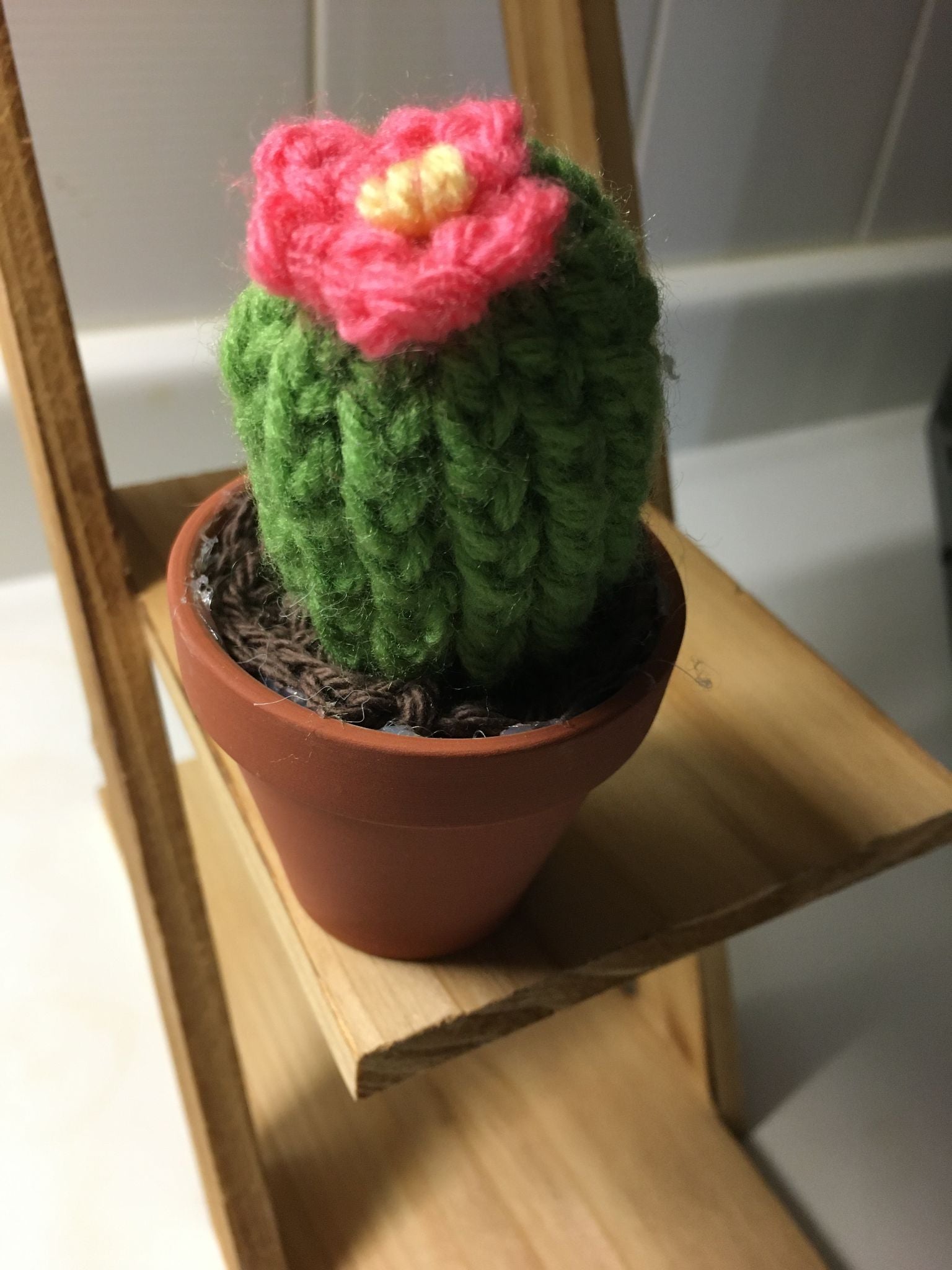 Moes knits crochet cactus - 1