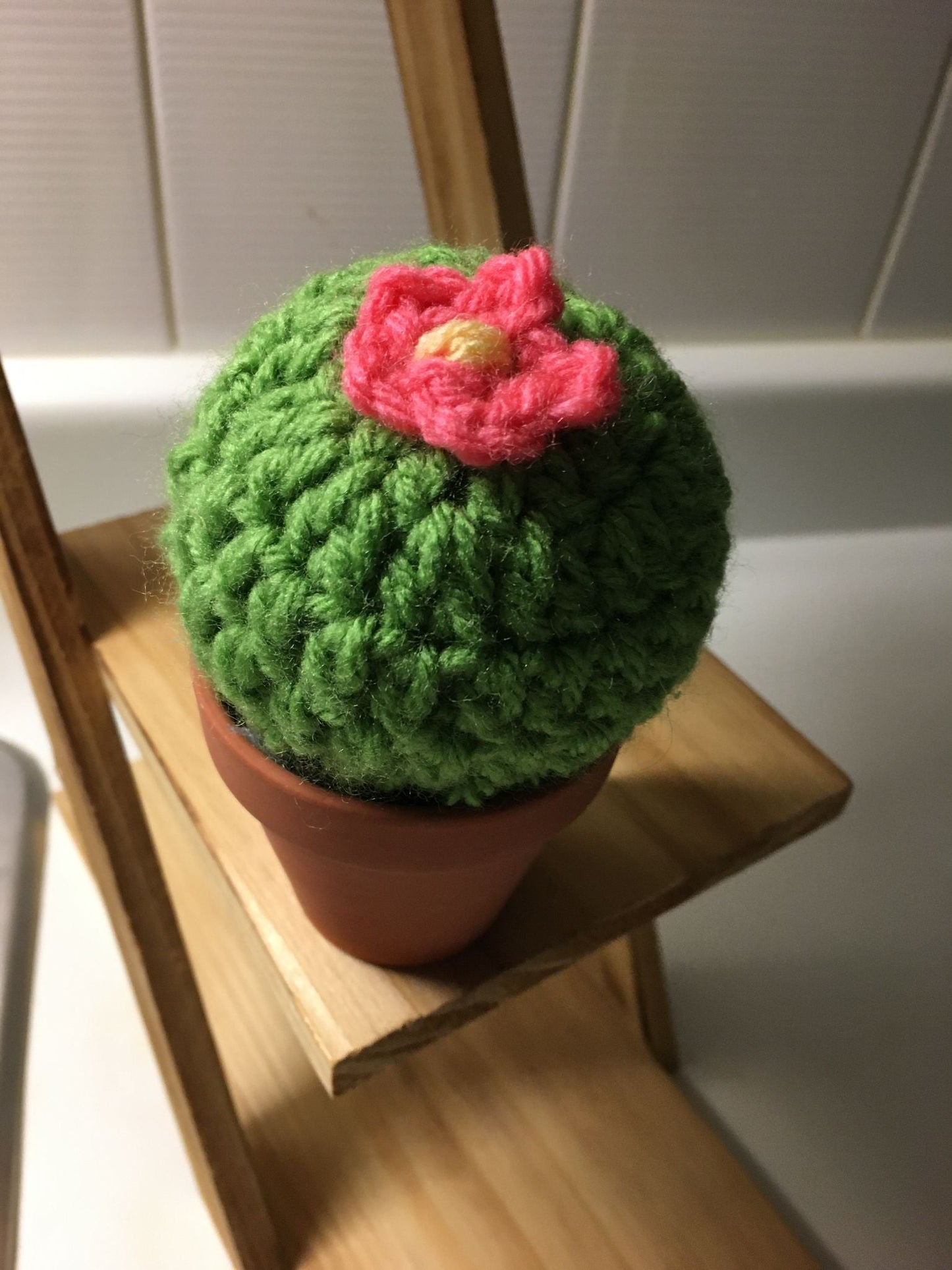 Moes knits crochet cactus - 2